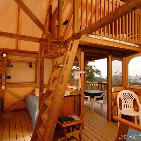 Concordia Eco Resort Rum bild