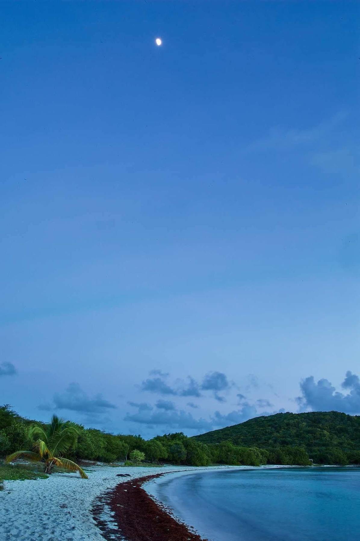 Concordia Eco Resort Exteriör bild